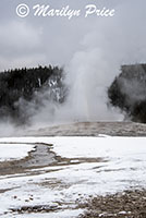 Old Faithful erupting, Yellowstone National Park, WY