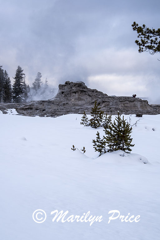 Castle Geyser, Upper Geyser Basin, Yellowstone National Park, WY