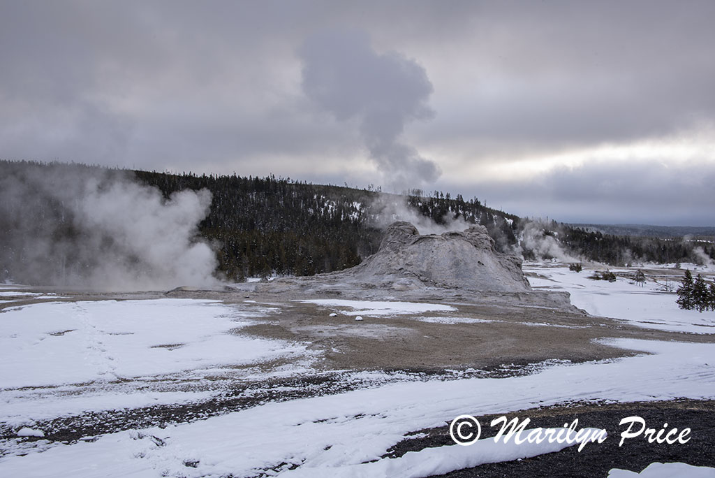 Castle Geyser, Upper Geyser Basin, Yellowstone National Park, WY