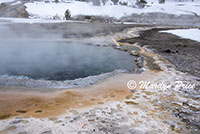 Crested Pool, Upper Geyser Basin, Yellowstone National Park, WY