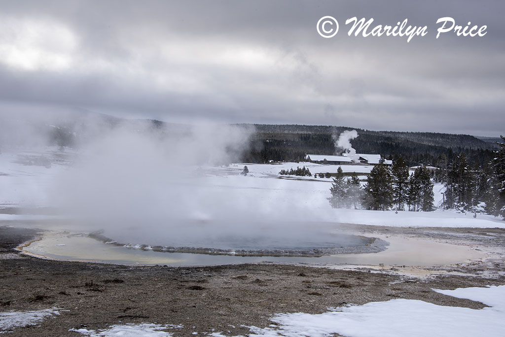 Upper Geyser Basin with Crested Pool in the foreground, Yellowstone National Park, WY