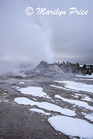 Castle Geyser erupting, Upper Geyser Basin, Yellowstone National Park, WY