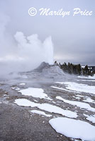 Castle Geyser erupting, Upper Geyser Basin, Yellowstone National Park, WY