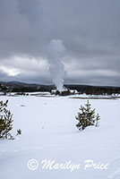 Old Faithful erupting in the distance, Yellowstone National Park, WY