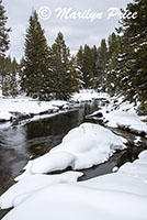 Firehole River, Upper Geyser Basin, Yellowstone National Park, WY