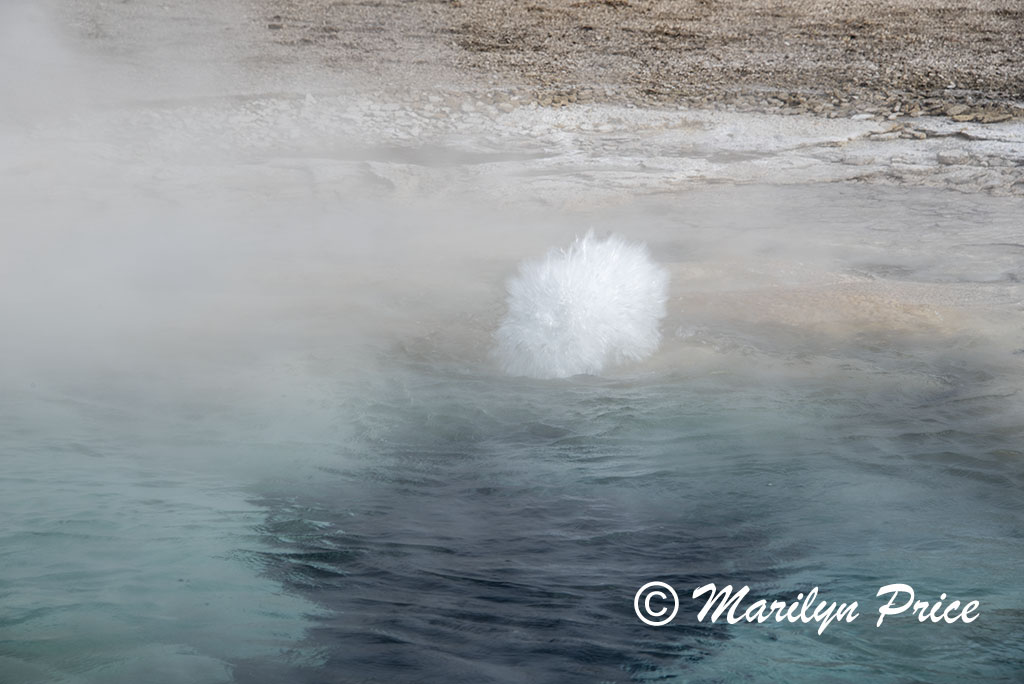 Spasmodic Geyser, Upper Geyser Basin, Yellowstone National Park, WY