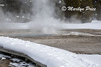 Spasmodic Geyser, Upper Geyser Basin, Yellowstone National Park, WY