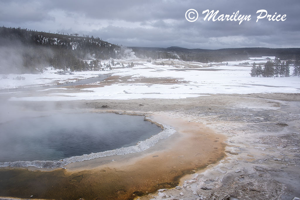 Upper Geyser Basin with Crested Pool in the foreground, Yellowstone National Park, WY