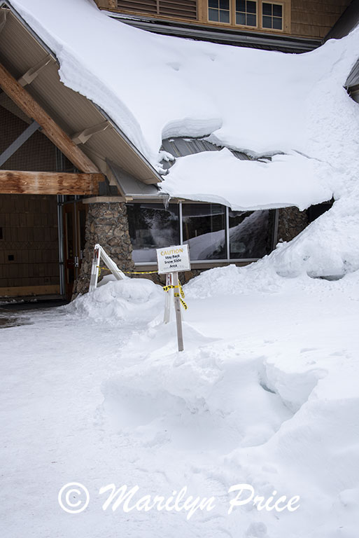 Snow sliding off the roof of the Visitor's Center, Upper Geyser Basin, Yellowstone National Park, WY