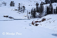 Lamar River, Lamar Valley, Yellowstone National Park, WY