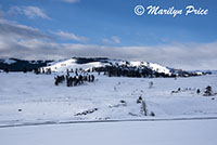 Lamar Valley, Yellowstone National Park, WY