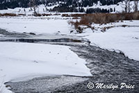 Soda Butte Creek, Lamar Valley, Yellowstone National Park, WY