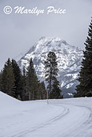 Barronette Peak, Lamar Valley, Yellowstone National Park, WY