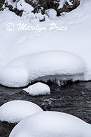 Snow pillows and icicles along Soda Butte Creek, Lamar Valley, Yellowstone National Park, WY