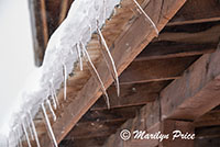 Icicles hanging from a roof, Cooke City, MT