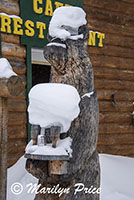 Carved bear with libations, Cooke City, MT