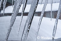 Icicles over the window of Buns N Beds (from the inside), Cooke City, MT