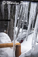 Icicles over the window of Buns N Beds (from the inside), Cooke City, MT