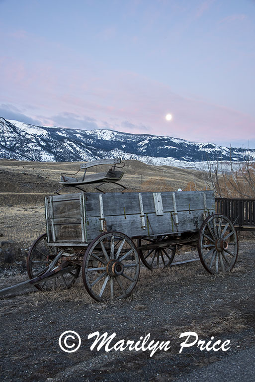 Old Wagon at sunrise with setting moon, Gardiner, MT