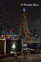 Christmas decorations at City Hall, Westminster, CO