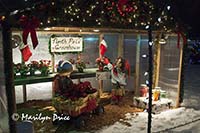 Christmas decorations at City Hall, Westminster, CO