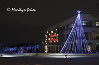 Christmas decorations at City Hall, Westminster, CO