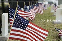 Decorated graves of sailors from the USS Maine, Key West Cemetery, Key West, FL