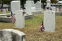 Decorated graves of sailors from the USS Maine, Key West Cemetery, Key West, FL