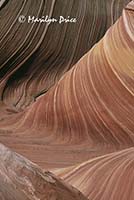 The Wave, Coyote Buttes Wilderness Area, AZ