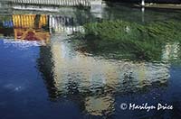 Reflection of a cafe, L'Isle sur la Sorque, France