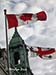 Canadian flags and Hotel de Ville (City Hall), Montreal