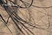 Beach grasses and patterns in the sand