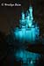 Cinderella's Castle at night, Disney's Magic Kingdom, Orlando, FL