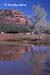 Watering hole, Sedona, AZ