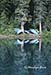 Canoes at Emerald Lake, Canada