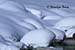 Snowy riverbank, Marble Canyon, Kootenay National Park, British Columbia, Canada