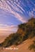 Sea grasses and sand dune