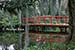 Bridge, Magnolia Plantation, Charleston, SC