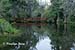 Bridge, Magnolia Plantation, Charleston, SC