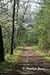 Schoolhouse Gap Trail, Great Smoky Mountains National Park, TN