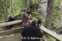 Photographers at Christine Falls