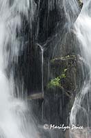 Roadside waterfall