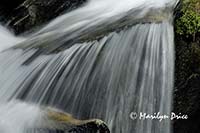 Roadside cascade