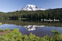 Mt. Rainier and Reflection Lake