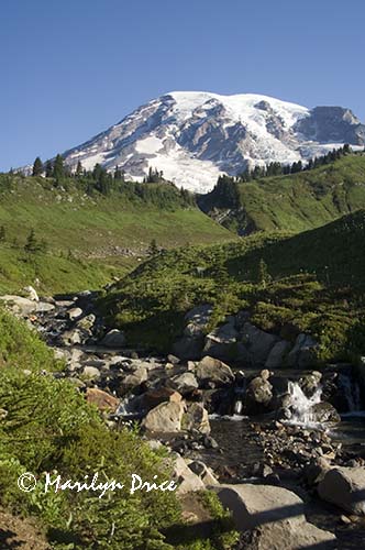 Mt. Rainier and Edith Creek