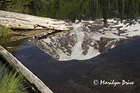 Mt. Rainier and Bench Lake