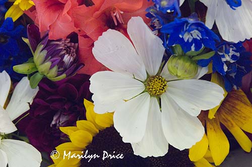 Mixed flowers