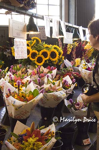 Photographer admires flowers