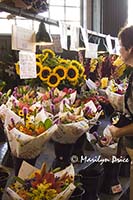 Photographer admires flowers