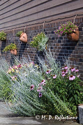 Driveway garden